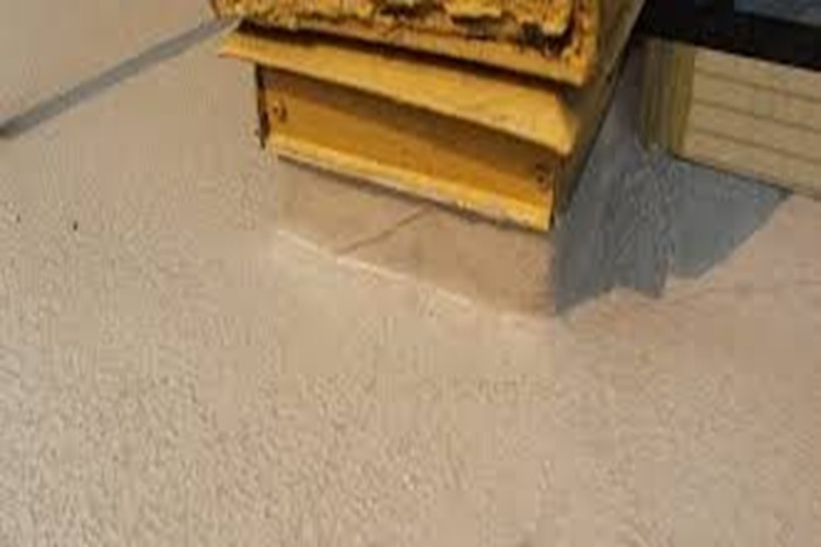 Deck Coating